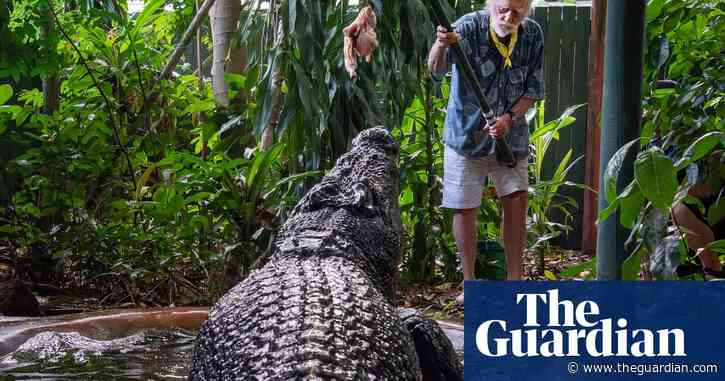 Solving the true age of Cassius, the world’s largest captive crocodile who died last week