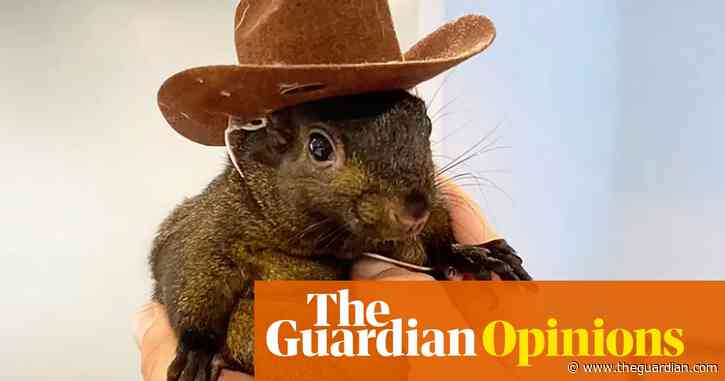 RIP Peanut the squirrel. At least he wasn’t flushed away like Pebbles the hamster | Arwa Mahdawi