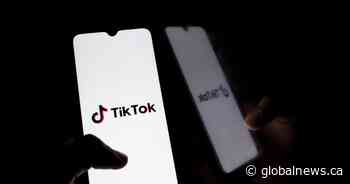 TikTok must end business in Canada but app will stay available, Ottawa says