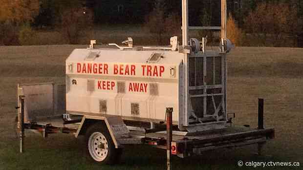 Trap set in Calgary's Fish Creek Park after black bear spotted nearby