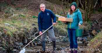 British rivers filled with almost 34,000 tonnes of toxic farming waste