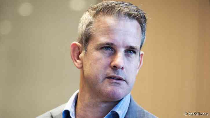 Kinzinger: Zero percent chance GOP House would buck Trump