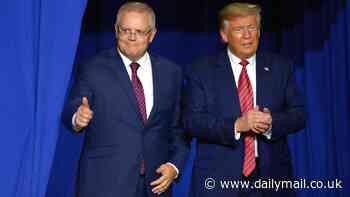 The return of ScoMo: How Trump's victory could see Scott Morrison make a shock political comeback