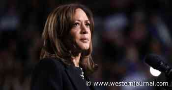 'Unfathomably Painful': Kamala Harris's Campaign Suffering Meltdown as Reality Settles in