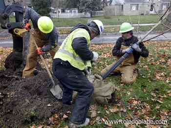 Toledo City Council approves hiring consultant as part of $6.1 million Re-Tree grant