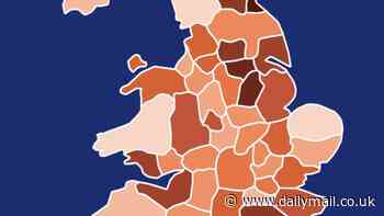 The UK's shoplifting hotspots: Interactive map reveals areas with highest number of store thefts - as inquiry finds number of reported crimes are a just a 'drop in the ocean'