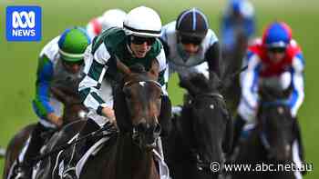 Treasurethe Moment secures Oaks win, second triumph of Melbourne Cup Carnival