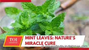 Mint leaves: Powerful benefits you must know