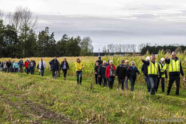 In deze gemeente kan je liefst 21 wandellussen langs trage wegen volgen