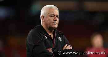 Warren Gatland decision was questioned by WRU board member