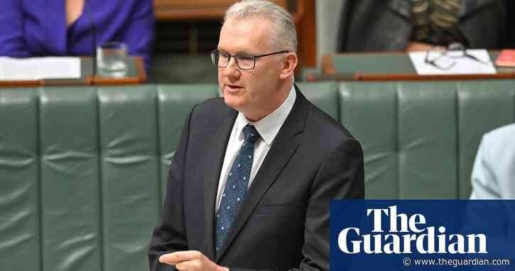 ‘We don’t want them in Australia at all’: Labor wants more powers to re-detain and remove non-citizens to third countries