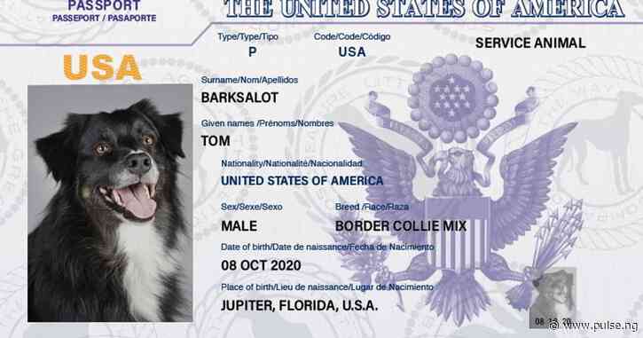 Did you know you can get a passport for your pet?