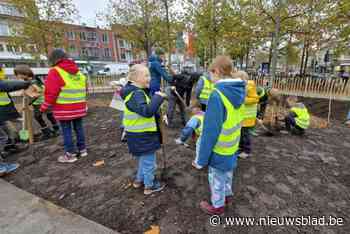 Het minibos op het Gemeenteplein kan groeien: “We zullen er geregeld naartoe komen met de kinderen”