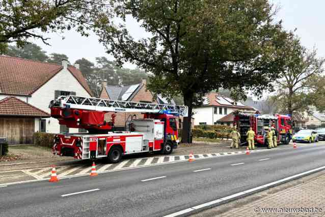 Huisbrand blijkt rook van kachel: brandweer rukt uit voor vals alarm in Zutendaal