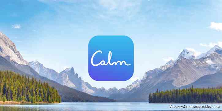 The Calm app bought ad blocks on CNN and ABC on election night to give viewers '30 seconds of silence'