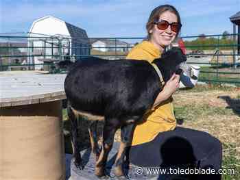 Animals find a &#39;furever&#39; home at Pemberville sanctuary