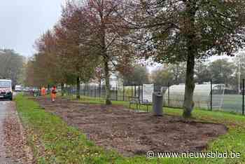 Vergroening rondom voetbalveld Koolhofstraat in Wilrijk gestart