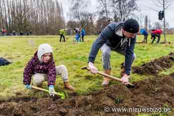 Voedselbos Boskruit organiseert plantdag in Park Groot Schijn op 17 november