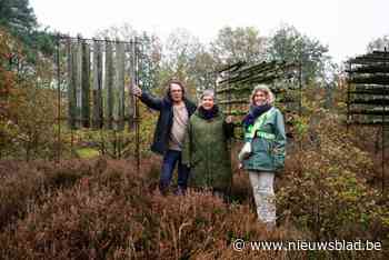 Natuurpunt wil kunstwerken weg uit Pelts natuurgebied: “Hoort niet thuis in beschermd gebied”