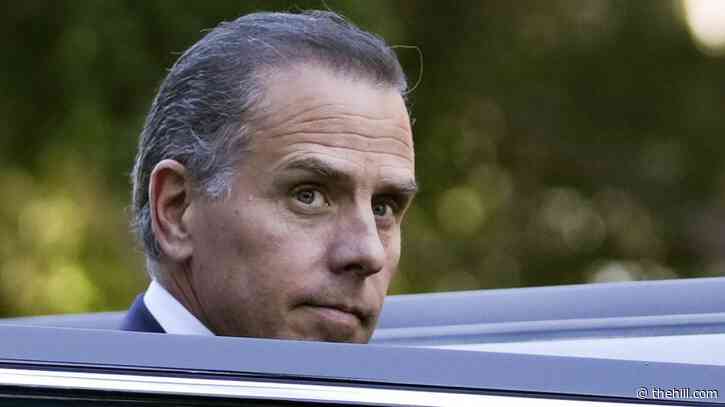 No pardon planned for Hunter Biden, White House says