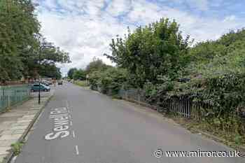 'Human remains and bones' found near bushes in London as cops launch probe