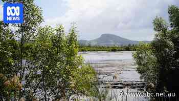 On disused cane farms the government is trying to put a price on nature