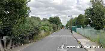 'Human remains and bones' found in leafy south-east London street