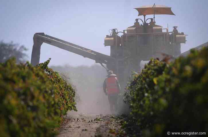 Trump policies cost California farmers during his last presidency. Could this time be worse?