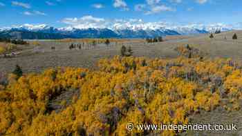 Federal government set to buy small plot of land near Grand Teton for $100m to avoid developers getting it