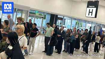 Huge lines at Sydney and Melbourne international airports as online immigration system fails