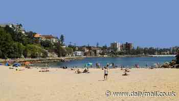 Tragedy as person dies at Shelly Beach on Sydney's Northern Beaches