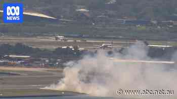 Qantas flight makes emergency landing at Sydney Airport, grass fire breaks out