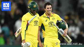 ODI live: Australia and Pakistan face off in the second match at the Adelaide Oval