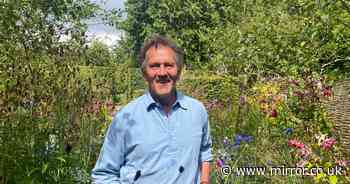 Monty Don's 'genius' method for getting algae off patios with ease