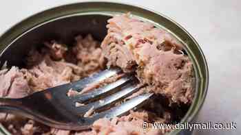 Now BAN tinned tuna, activists demand - as toxic levels of mercury are detected in store-cupboard favourite