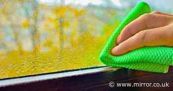 Window cleaning hack that makes condensation 'disappear for good' using one item