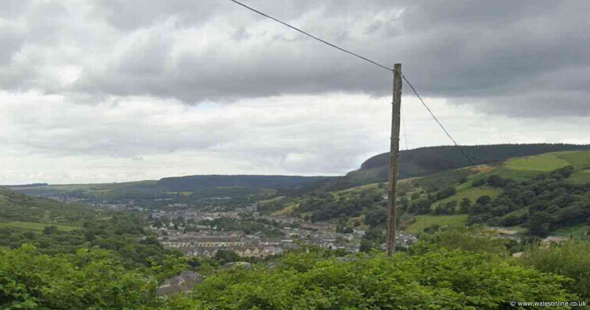 Welsh village revealed as UK hotspot for Japanese Knotweed