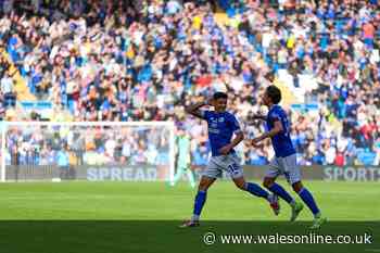 Cardiff City star told to make decision over future after squad omission