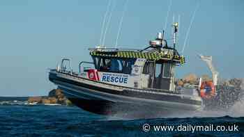 Miracle as crew member who fell off a cargo ship is found alive on an Australian beach after marathon swim