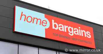 Home Bargains shoppers warn customers after buying 9ft Christmas decoration