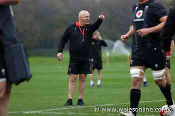 Wales team to play Fiji in full as Gatland makes exciting choices