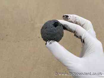 Origin of mysterious black balls washed up on beaches revealed - and it’s disgusting