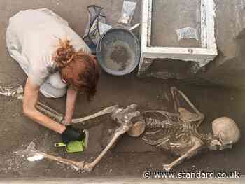 DNA evidence from Pompeii indicates victims were not who they appeared to be