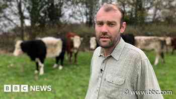 Bereaved son speaks of farmers' financial stress