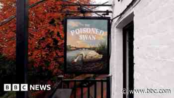 Why a pub changed its name to help save swans