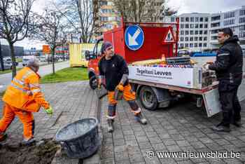 Stad kroont zich tot Vlaams kampioen Tegelwippen: “Dit kampioenschap hebben we samen gewonnen”