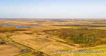 Area to be transformed into 'green haven' as National Trust set to plant 91,000 trees in one part of Merseyside