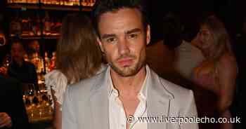 Liam Payne's 'heartbroken' friend denies 'abandoning' singer