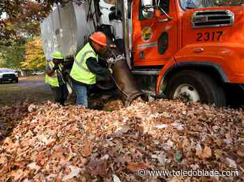 Toledo crews continue leaf collection