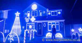 Mega Christmas light switch-on as family celebrates 'new additions'